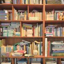 📚 ✨북카페 리뷰 1탄✨ 📚 세이버앤페이버 (성수 북카페)