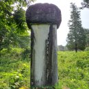 이유청 묘 | ◎ 청운군(靑雲君) 심명세(沈命世)