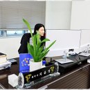 세무회계으뜸 네이버블로그