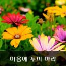 마음담아 이미지