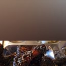 정글호프 이미지