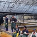 대봉엘에프영어조합법인 이미지