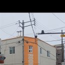맛집] 오픈런 필수! 단골의 이름을 딴 '정민이 초밥'과 입에서 녹는 '구운동'의 유혹, '루키초밥' 후기