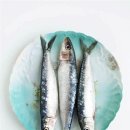 작은어촌 이미지