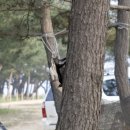 캠핑아일랜드 이미지