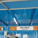 대천머드파라솔 이미지