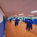 용인대정진유도교실 화원관 이미지