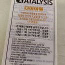 카탈리시스