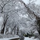 법화사입구 이미지