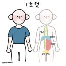 수아하다필라테스