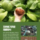 해뜰참마루 이미지