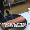 ﻿연어타다끼 토치작업 이미지