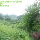 송단제 이미지