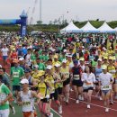 제주생활체육공원 이미지