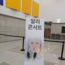 용진 | 알리 20주년 콘서트-용진 서울 콘서트 관람 후기