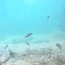 지장산 입구 화장실 이미지