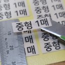 정스수정 이미지