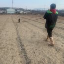 BG독케어센터 이미지