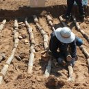 천마농장 이미지