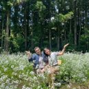 표선리-28 이미지