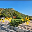 봉하마을 묘역화장실 이미지