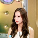 스텔라캠핑