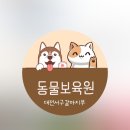 동물보육원 대전서구갈마지부 이미지