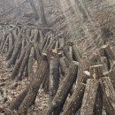 산속골농장 이미지