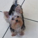 놀아줘PC 이미지