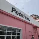 [성수 카페 노티드] 너무 힙해서 적응 못 했던 성수 카페노티드 피치스 + 새로생긴 카페노티드 성수...