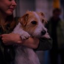 뉴웨이브 이미지