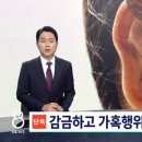 자매만두 이미지