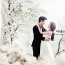 페레스튜디오 이미지