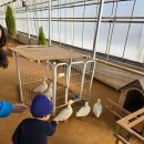 부리농장 | 19개월 아기랑 경기도 가볼만한 곳 무럭무럭 농장