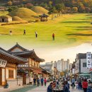 다산대구사무소 티스토리