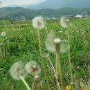 오빈낚시터(오빈저수지) 이미지