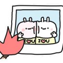 한결국제결혼 이미지