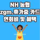 농협 zgm.휴가중 카드 추천 혜택 및 후기