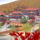 산정만리 60 정각사(正覺寺) 감회 시조/반산 한상철 이미지