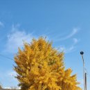 창천2리마을회관 이미지