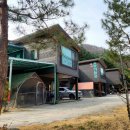 알파카 소풍 펜션 이미지