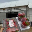 행운농장 | 강진 지앤유팜 딸기농장 딸기케이크 만들기 체험