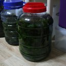 주정농장 이미지