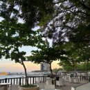 뉴신선헬스사우나 | 내돈내산 세부 숙소 추천 0.5박 가성비 호텔 • 머큐어 막탄 구 벨몬트 뉴타운비치 후기