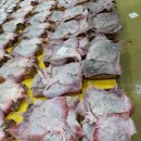 중앙수산유통 이미지