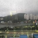 오식도 새벽시장 이미지