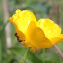 전통매듭 이미지