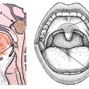 둔산튼튼한의원 이미지