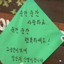 더 클래식 500 펜타즈 이미지