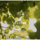 세종아파트 네이버블로그